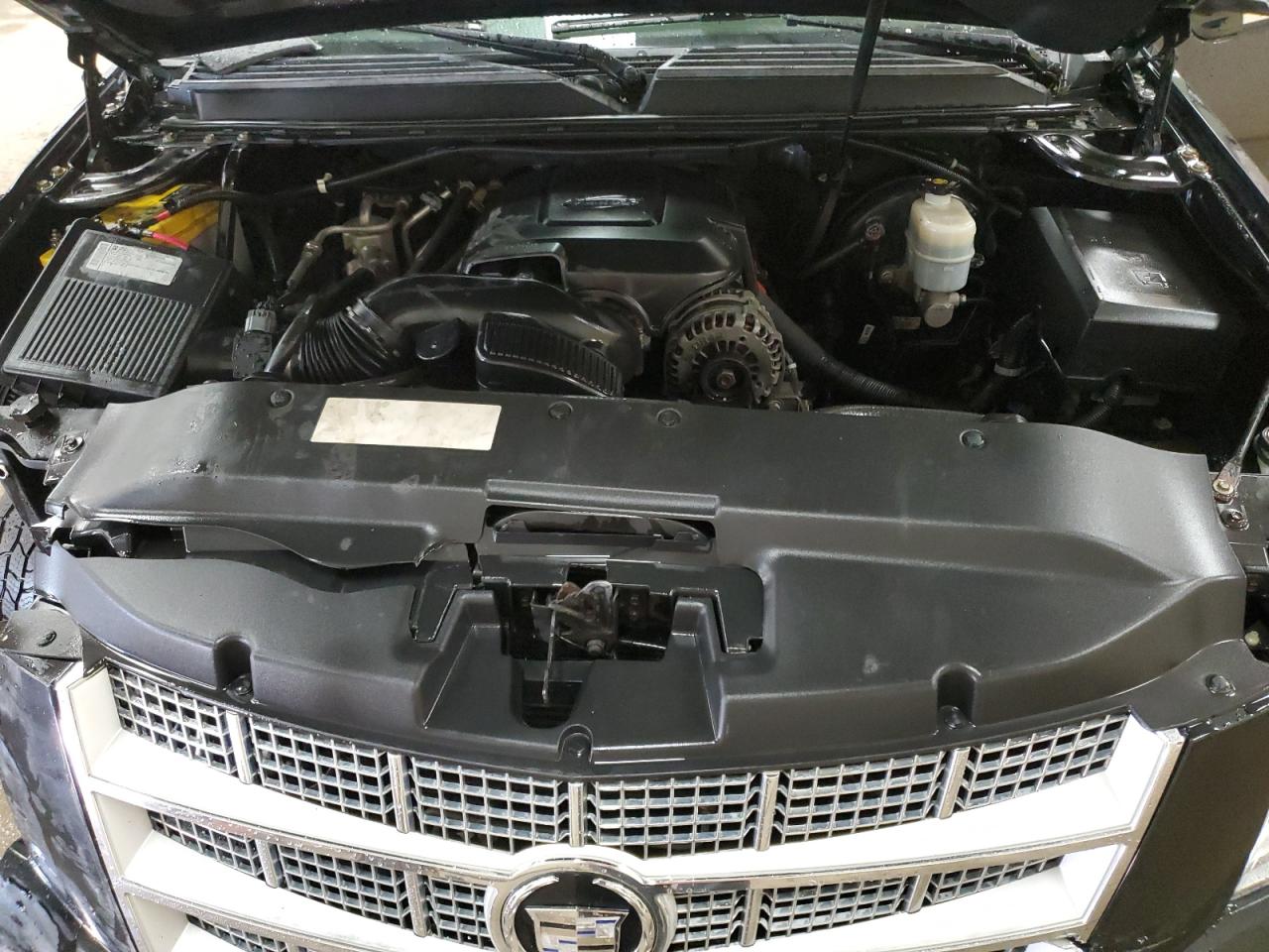 2010 Cadillac Escalade Platinum VIN: 1GYUKDEF8AR264025 Lot: 56307855