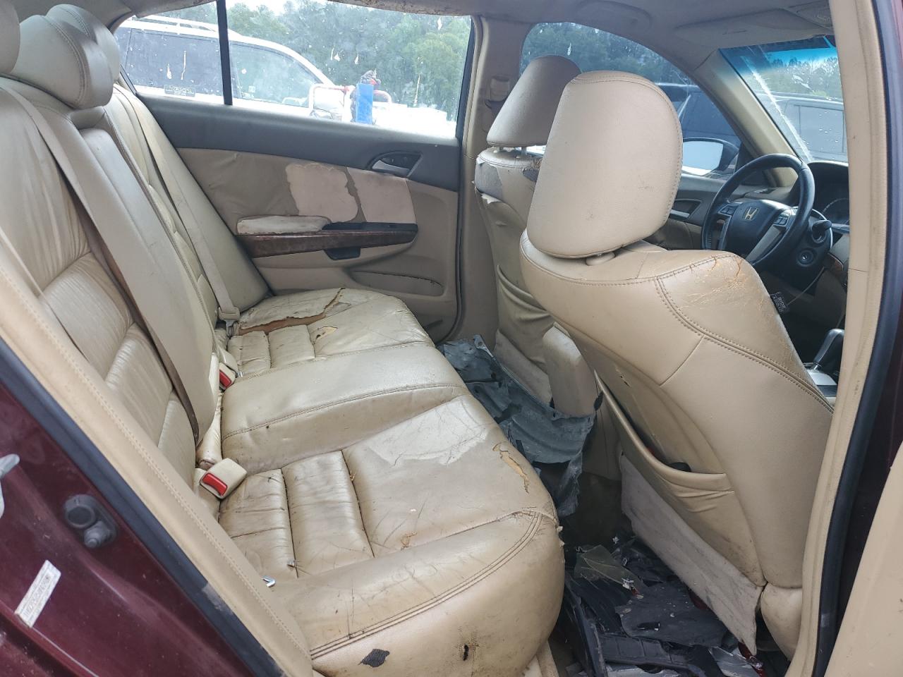 2008 Honda Accord Exl VIN: 1HGCP26858A004800 Lot: 55120065