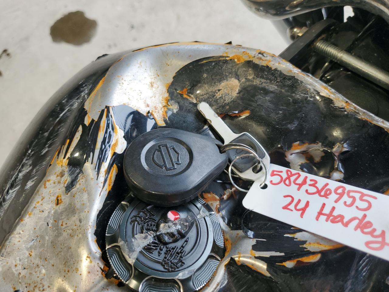 2024 Harley-Davidson Fxst VIN: 1HD1BVJ17RB019194 Lot: 58436955