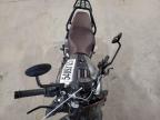 2022 Indian Motorcycle Co. Ftr Rally zu verkaufen in Eldridge, IA - Minor Dent/Scratches