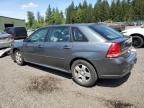 2004 Chevrolet Malibu Maxx Lt na sprzedaż w Graham, WA - Front End