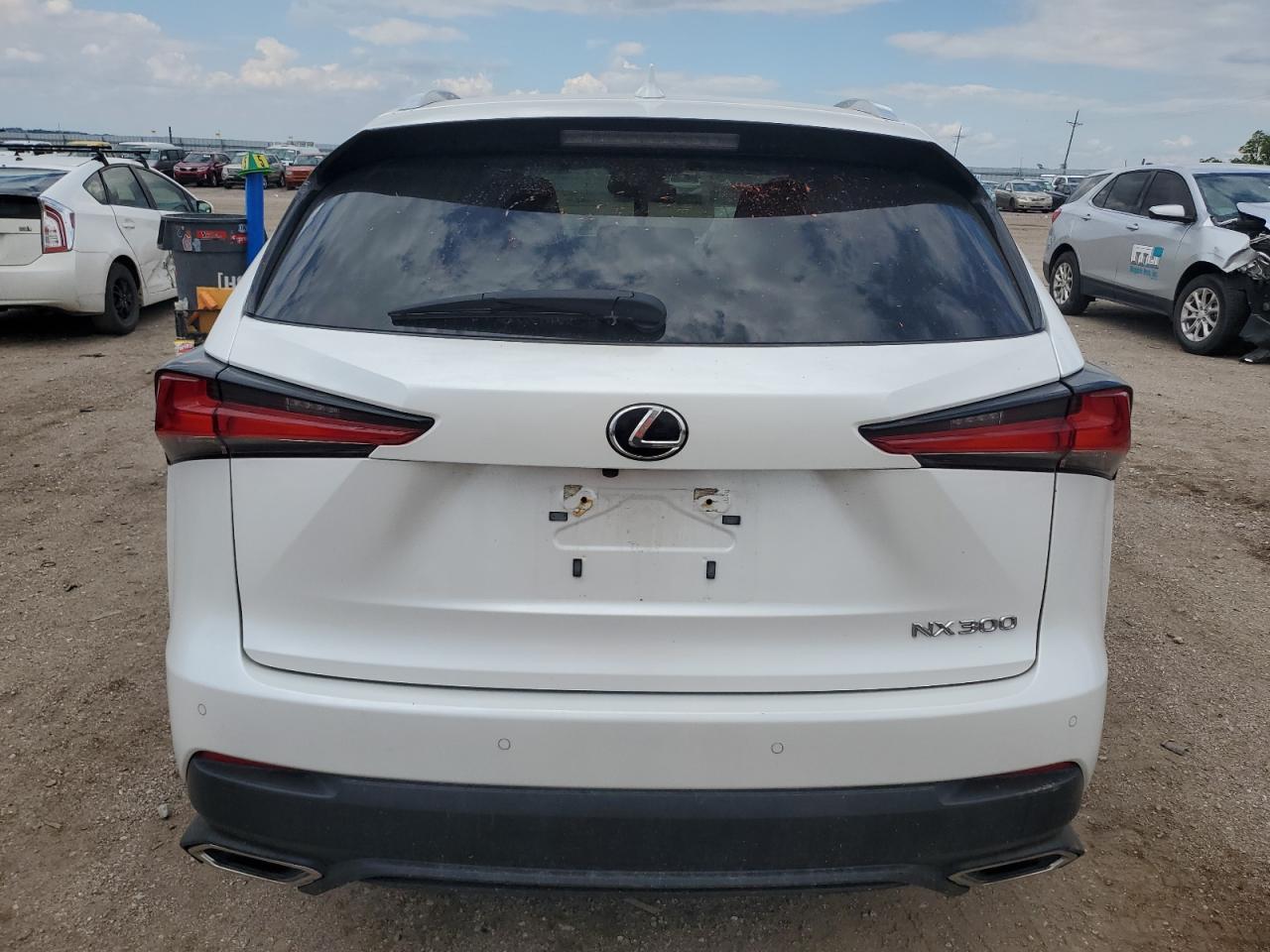 2020 Lexus Nx 300 VIN: JTJDARDZ1L5010570 Lot: 58579495