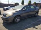 2009 Toyota Corolla Base for Sale in Wilmington, CA - Side