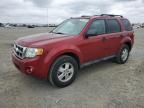 2012 Ford Escape Xlt იყიდება San Diego-ში, CA - Rear End