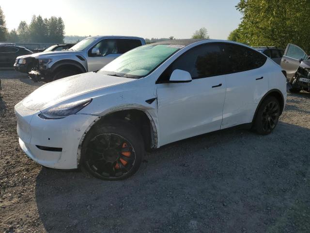 TESLA MODEL Y – zdjęcie z aukcji, lot #55113135