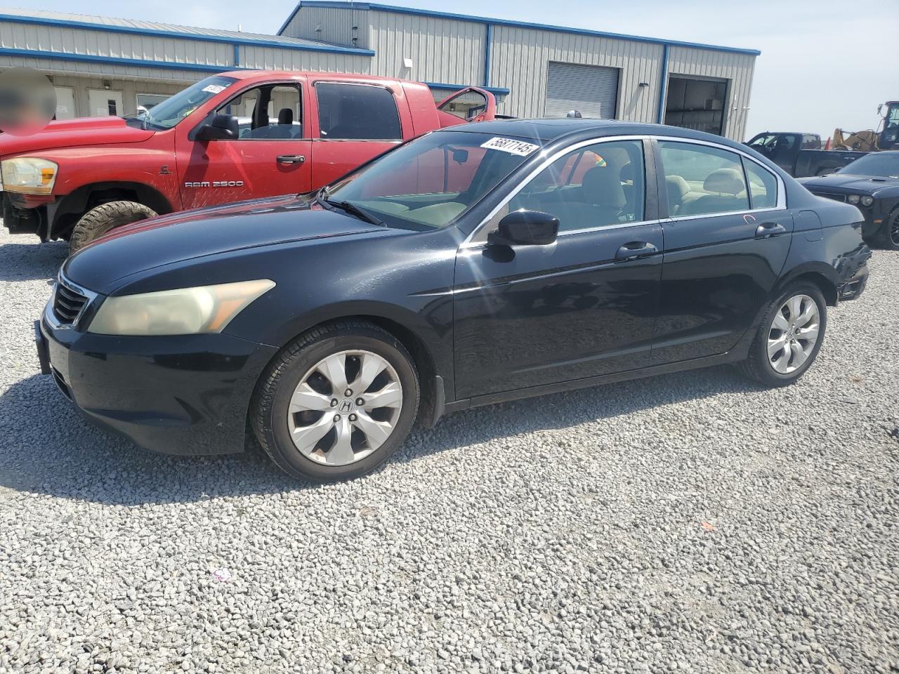 2010 Honda Accord Ex for Sale in Earlington, KY - Rear End