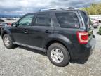 2011 Ford Escape Limited იყიდება Arlington-ში, WA - Minor Dent/Scratches