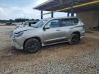 2023 Lexus Gx 460   за продажба в Tanner, AL - Side