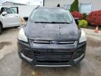 2015 Ford Escape Titanium for Sale in Louisville, KY - Hail