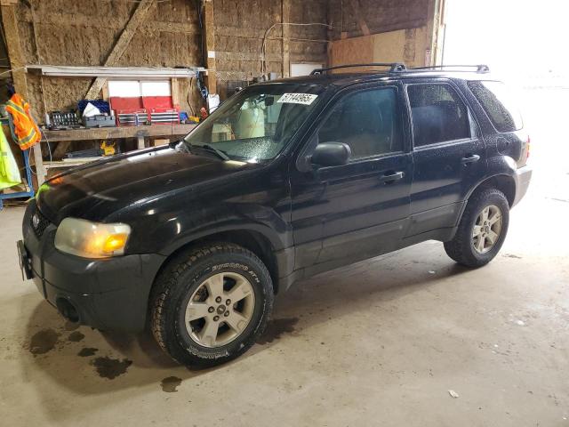 2005 Ford Escape Xlt
