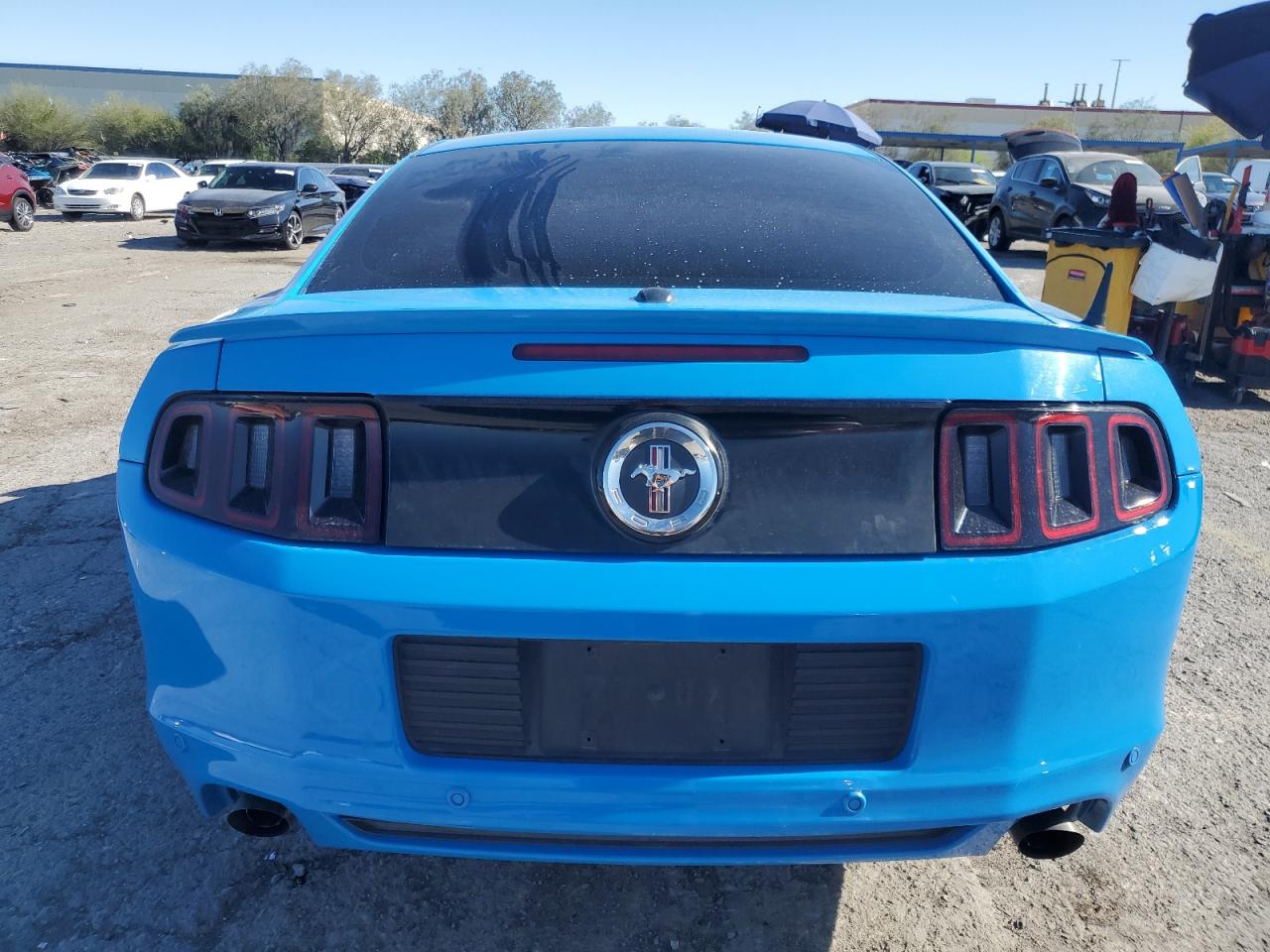 2013 Ford Mustang VIN: 1ZVBP8AM9D5248001 Lot: 56514375