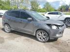 2014 Ford Escape Se   for Sale in Bridgeton, MO - Front End