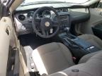 2010 Ford Mustang  for Sale in Anthony, TX - Rear End