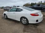 2013 HONDA ACCORD EXL   à vendre chez Copart ON - TORONTO