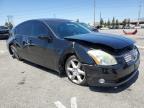 2005 Nissan Maxima Se للبيع في Rancho Cucamonga، CA - All Over
