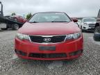 2013 Kia Forte Ex იყიდება Walton-ში, KY - Minor Dent/Scratches