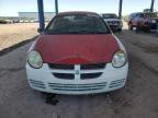 2004 Dodge Neon Base на продаже в Phoenix, AZ - Minor Dent/Scratches