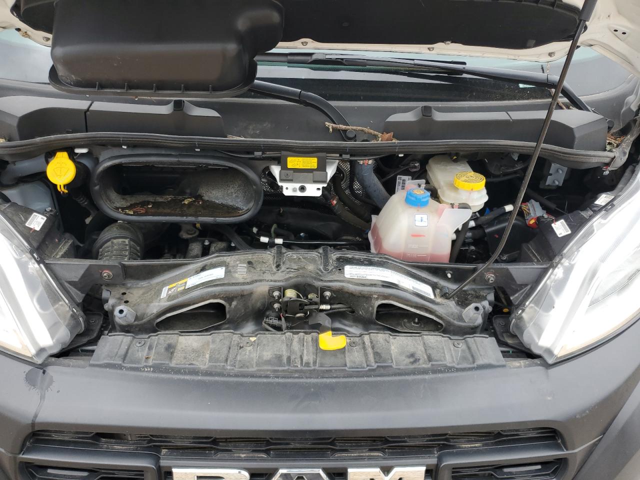 2023 Ram Promaster 2500 2500 Standard VIN: 3C6LRVVG8PE588695 Lot: 55992305