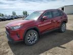 2019 TOYOTA RAV4 XLE for sale at Copart AB - CALGARY