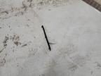 2017 Bmw X5 Xdrive50I na sprzedaż w East Granby, CT - Minor Dent/Scratches