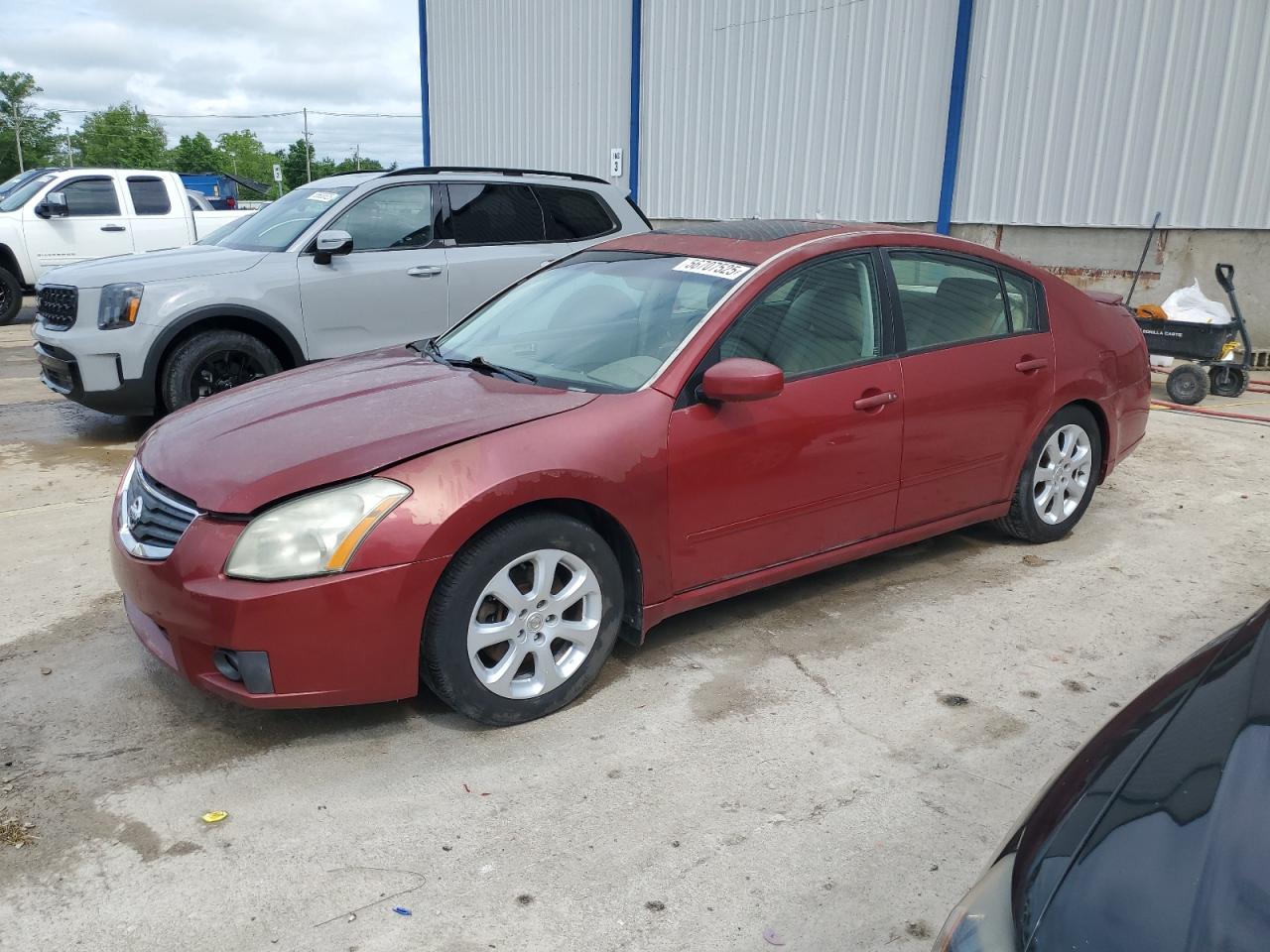 2007 Nissan Maxima Se იყიდება Lawrenceburg-ში, KY - Hail