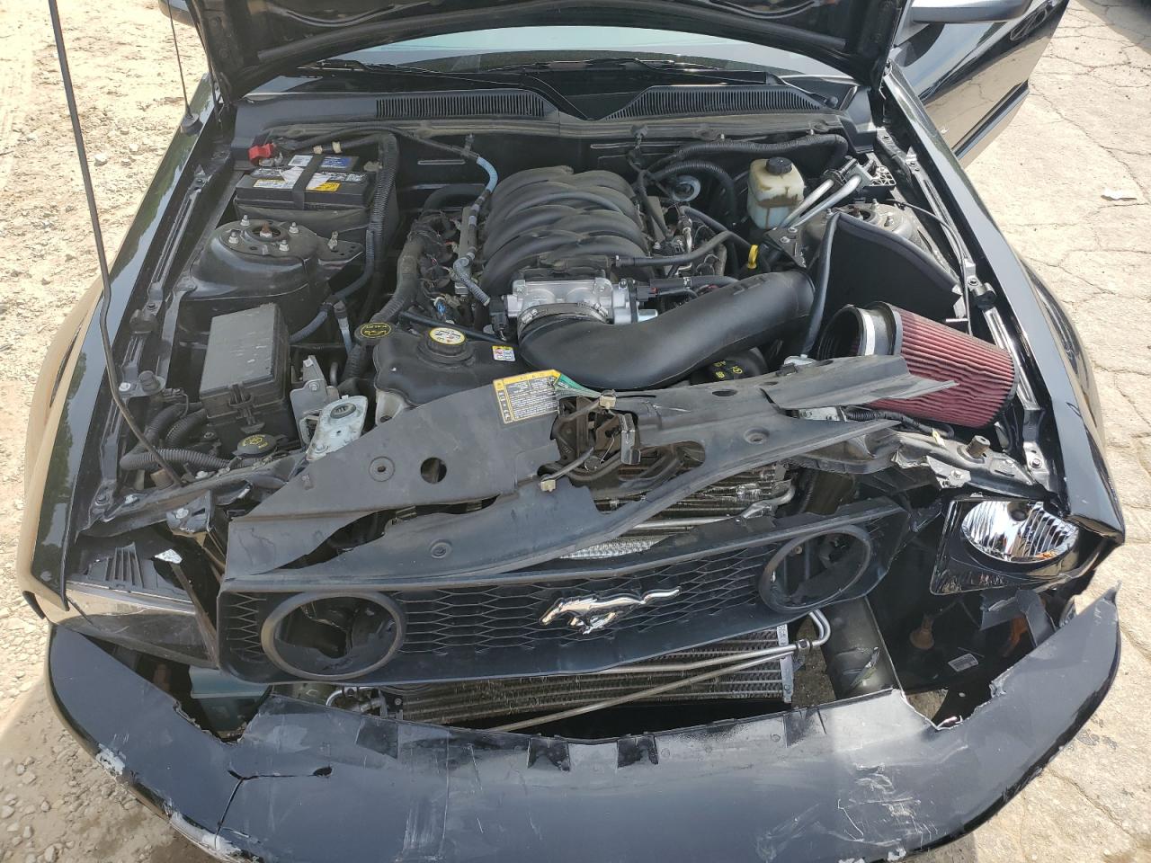 2006 Ford Mustang Gt VIN: 1ZVHT82H065221716 Lot: 56384245