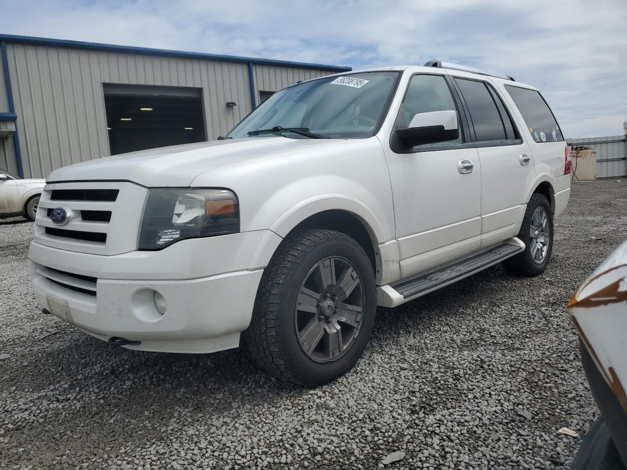 2010 Ford Expedition Limited for Sale in Earlington, KY - Hail