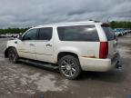 2011 Cadillac Escalade Esv Platinum   for Sale in Ellwood City, PA - Front End