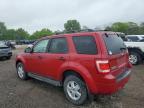 2011 Ford Escape Xlt იყიდება Des Moines-ში, IA - Rear End