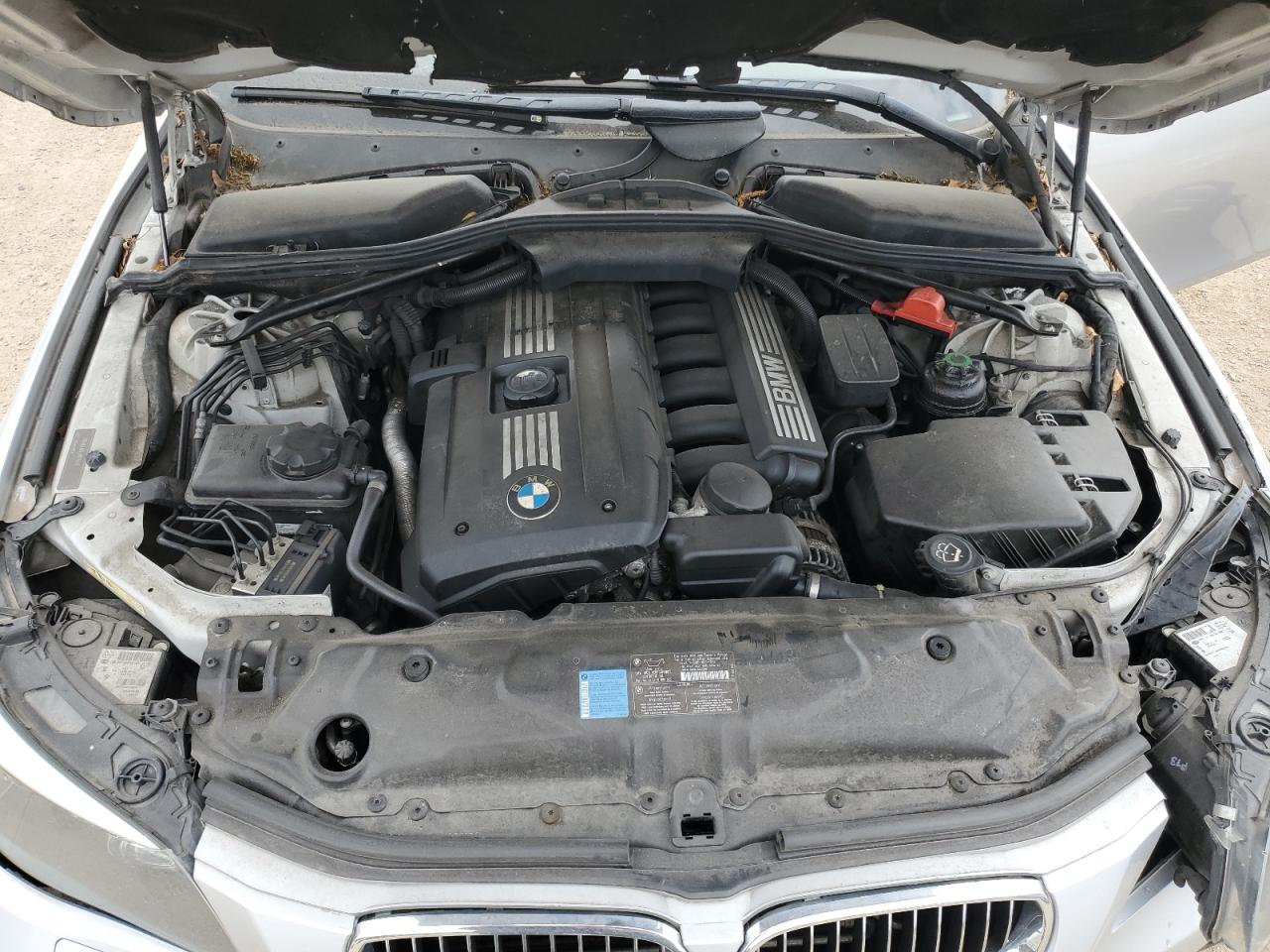 2008 BMW 528 Xi VIN: WBANV13538CZ57895 Lot: 56303405