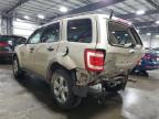 2010 Ford Escape Xlt for Sale in Ham Lake, MN - Rear End