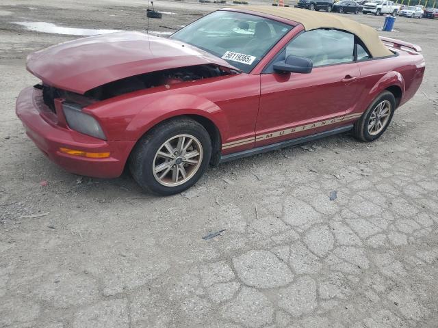 2005 Ford Mustang   