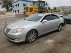 2010 Lexus Es 350 for Sale in Albuquerque, NM - Rear End