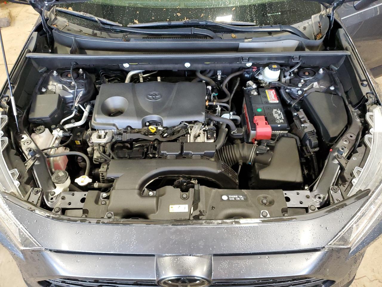 2020 Toyota Rav4 Xle VIN: JTMP1RFV9LD057605 Lot: 57947765