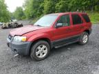2005 Ford Escape Xlt იყიდება Marlboro-ში, NY - Rear End