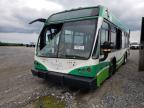 2018 El Dorado E-Z Rider Ii Low Floor Max იყიდება Chambersburg-ში, PA - Front End