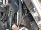 2005 Harley-Davidson Flstci  for Sale in Pekin, IL - All Over