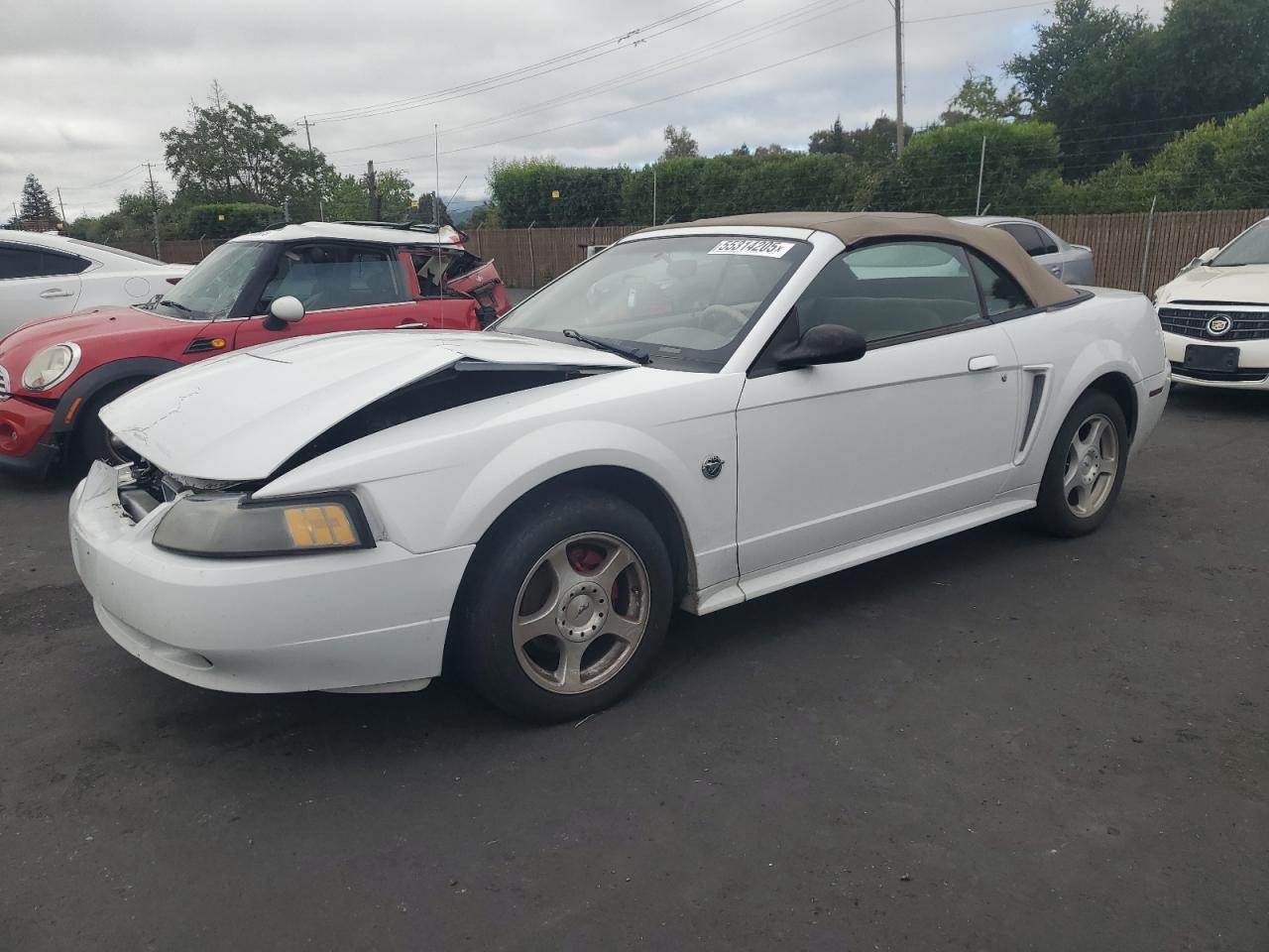 2004 Ford Mustang იყიდება San Martin-ში, CA - Front End