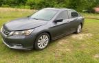 2013 Honda Accord Exl იყიდება Grenada-ში, MS - Minor Dent/Scratches