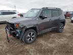 2020 Jeep Renegade Trailhawk zu verkaufen in Greenwood, NE - Front End