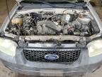 2005 Ford Escape Xlt продається в Blaine, MN - Rear End