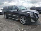 2020 Cadillac Escalade Esv Luxury იყიდება Earlington-ში, KY - Hail