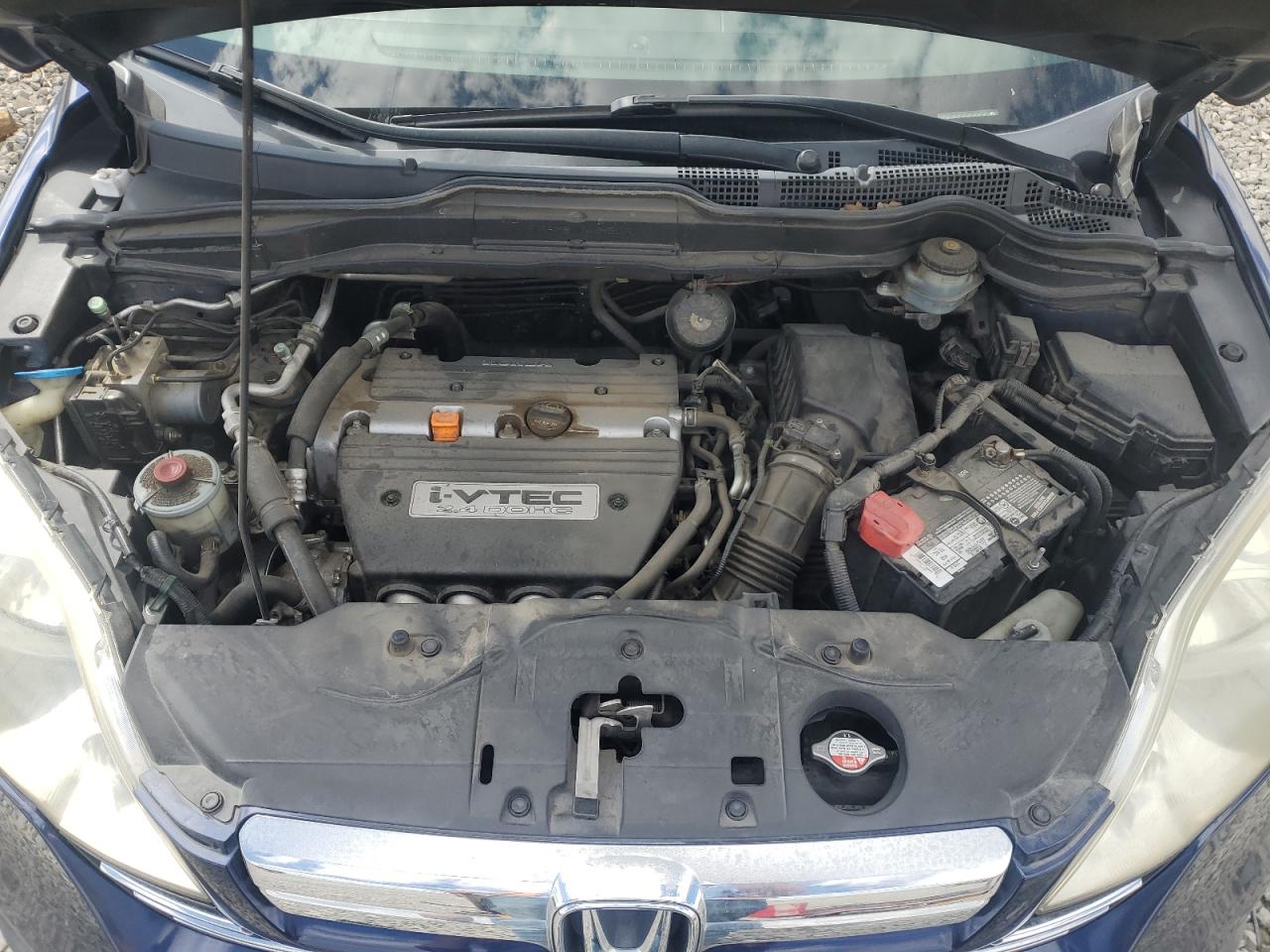 2007 Honda Cr-V Exl VIN: JHLRE487X7C120353 Lot: 55690635