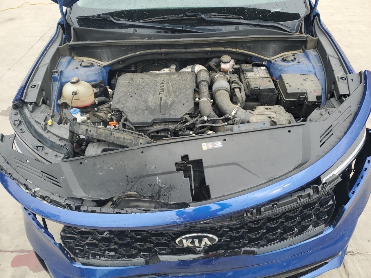 2021 Kia Sorento Sx VIN: 5XYRK4LF4MG023774 Lot: 55967555