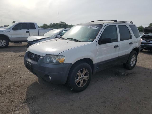 2007 Ford Escape Xlt