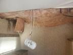 2006 Layton Trailer en Venta en Prairie Grove, AR - Hail