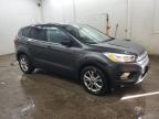 2019 Ford Escape Se for Sale in Madisonville, TN - Minor Dent/Scratches