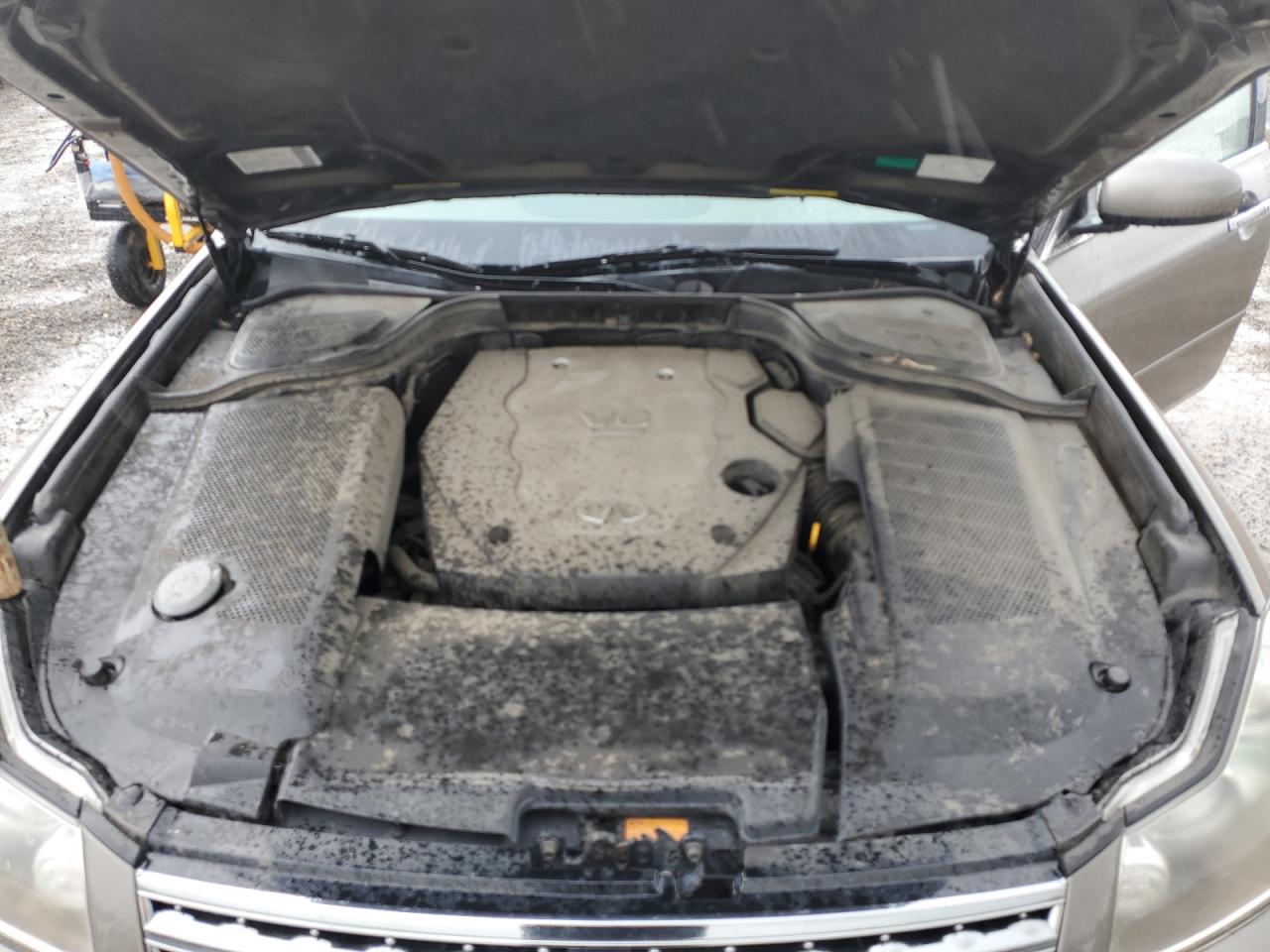 2006 Infiniti M35 Base VIN: JNKAY01F26M261923 Lot: 56524415