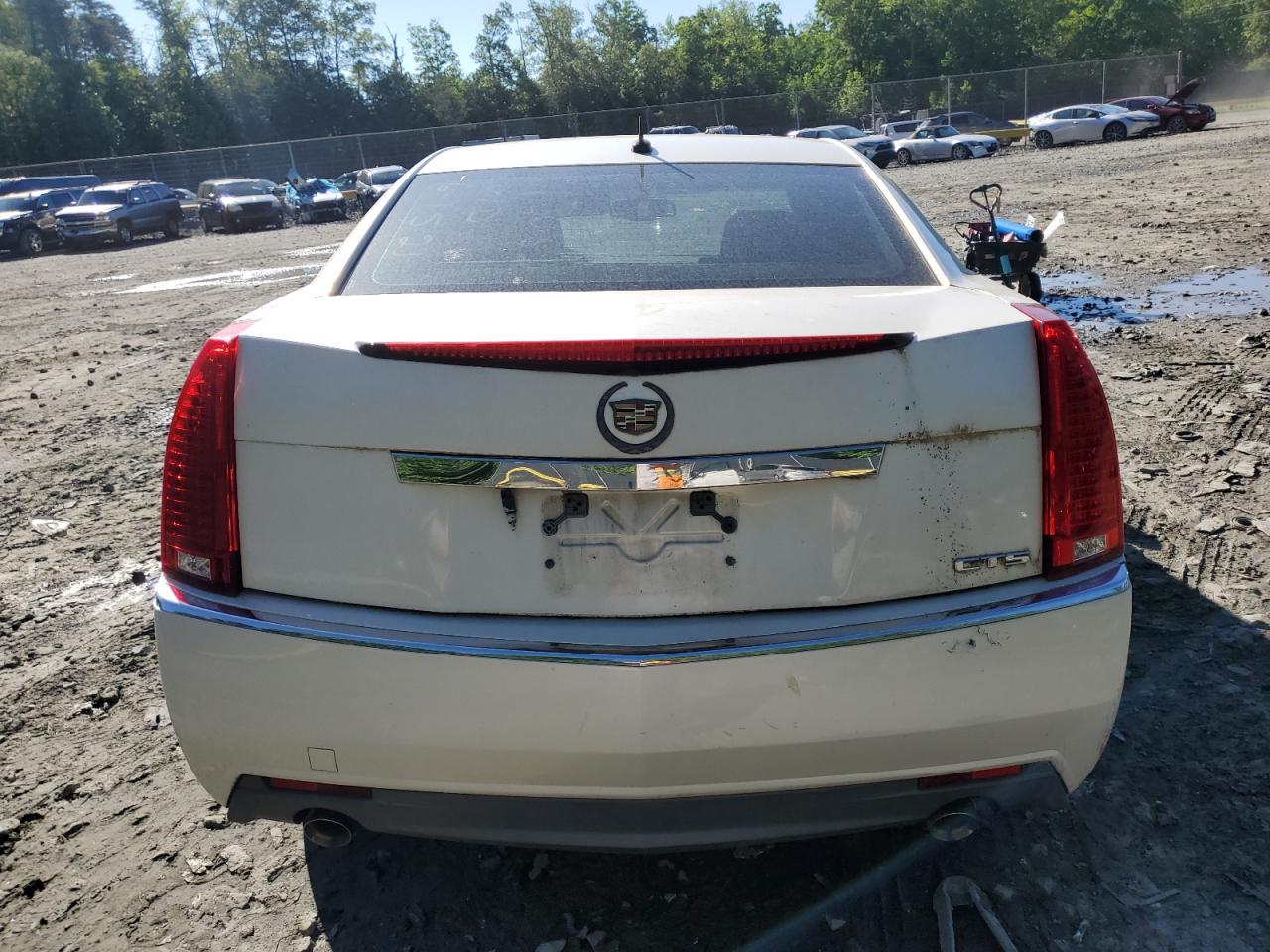 2008 Cadillac Cts VIN: 1G6DF577480139806 Lot: 55249525