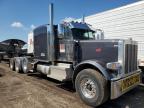 2023 Peterbilt 389 Semi Truck en Venta en Brighton, CO - Minor Dent/Scratches